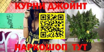 стаф Ирбит