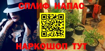 стаф Ирбит